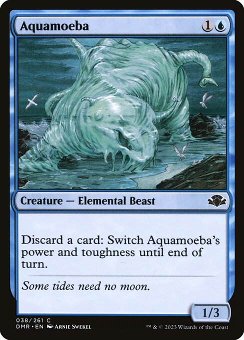 Aquamoeba — DMR — 38