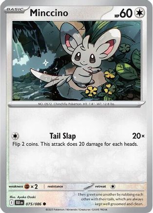 Minccino - SV: Black Bolt #075
