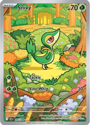 Snivy - 087/086 - SV: Black Bolt #087