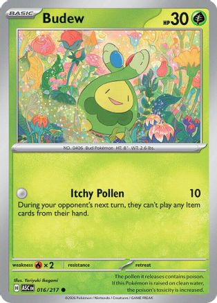 Budew - 016/217 - ME: Ascended Heroes #016