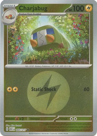 Charjabug (Energy Symbol Pattern) - ME: Ascended Heroes #065