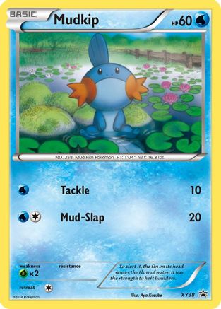 Mudkip - XY38 - XY Promos #XY38