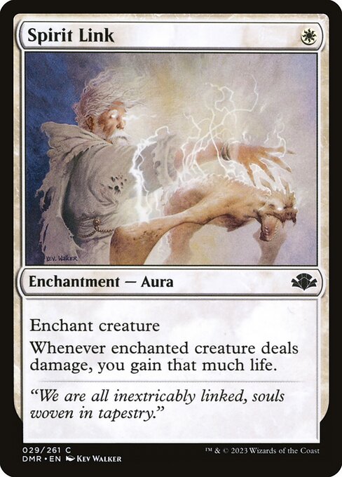 Spirit Link — DMR — 29
