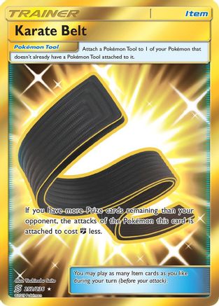 Karate Belt (Secret) - SM - Unified Minds #252