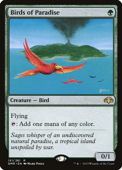 Birds of Paradise — DMR — 151