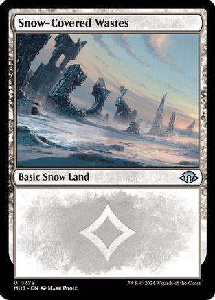 Snow-Covered Wastes (0229) - Modern Horizons 3 #229