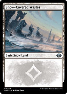 Snow-Covered Wastes (0229) - Modern Horizons 3 #229