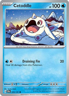 Cetoddle - SV08: Surging Sparks #053