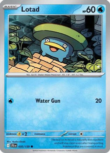 Lotad - SV09: Journey Together #035
