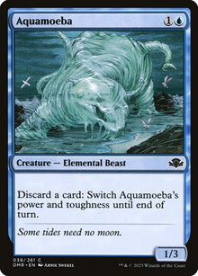 Aquamoeba — DMR — 38