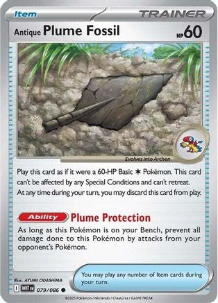 Antique Plume Fossil - SV: White Flare #079