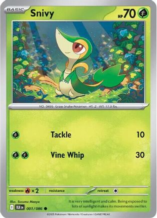 Snivy - SV: Black Bolt #001