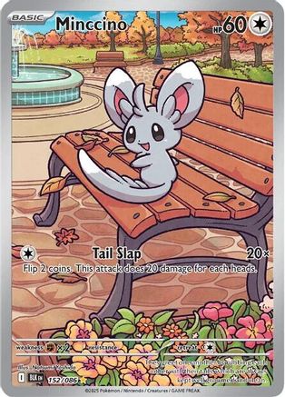 Minccino - 152/086 - SV: Black Bolt #152