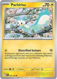 Pachirisu - ME01: Mega Evolution #051