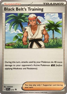 Black Belt's Training - 219 - SV: Scarlet & Violet Promo Cards #219