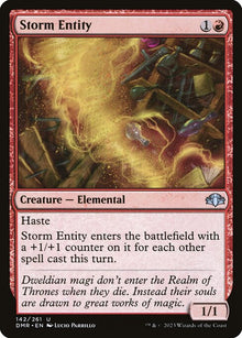 Storm Entity — DMR — 142