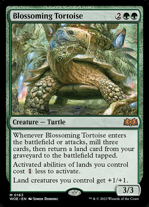 Blossoming Tortoise — WOE — 163