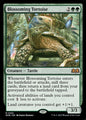 Blossoming Tortoise — WOE — 163