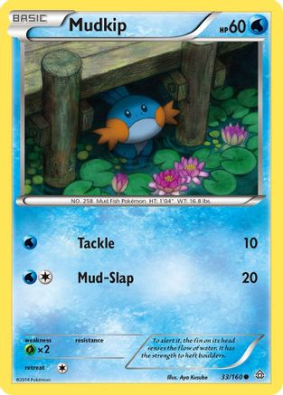 Mudkip - XY - Primal Clash #33