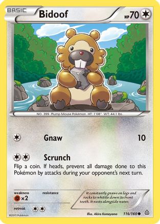 Bidoof - XY - Primal Clash #116