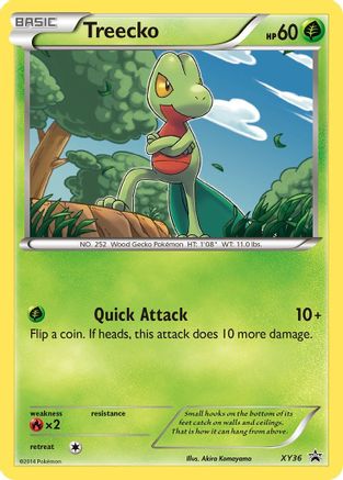 Treecko - XY36 - XY Promos #XY36