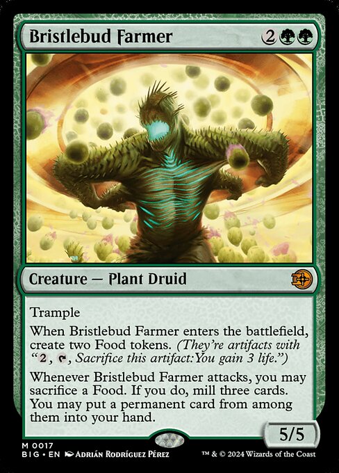 Bristlebud Farmer — BIG — 17