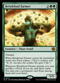 Bristlebud Farmer — BIG — 17