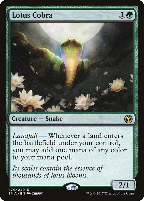 Lotus Cobra — IMA — 174