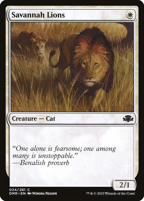 Savannah Lions — dmr — 24