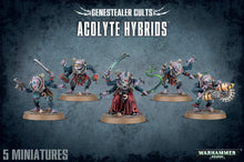 Acolyte Hybrids/ Hybrid Metamorphs