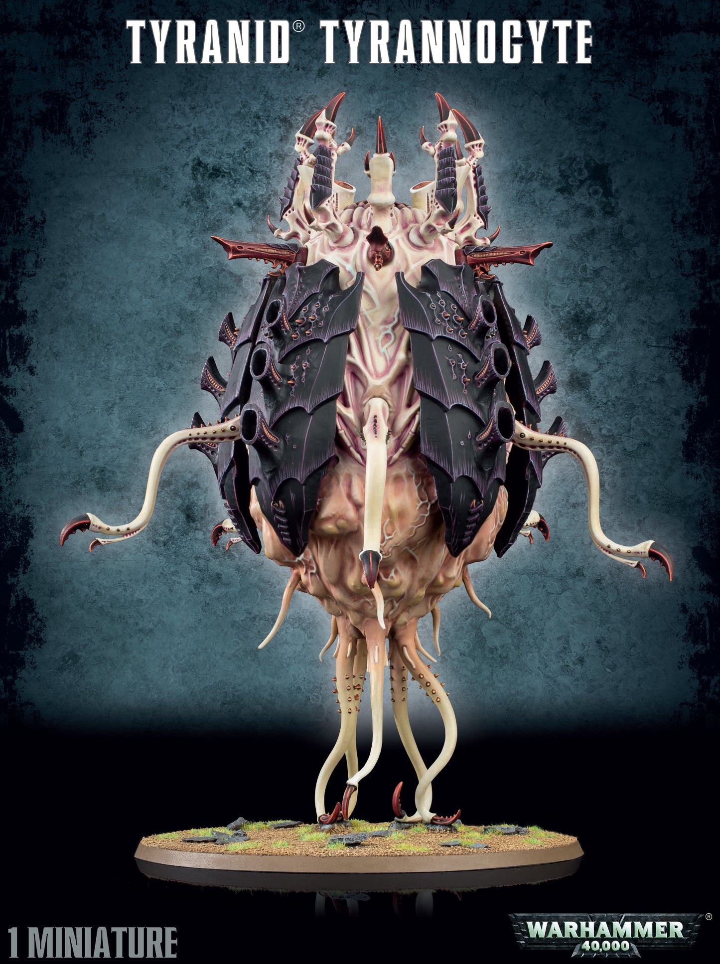 Sporocyst And Mucolid Spore/ Tyrannocyte